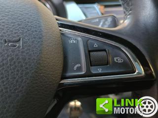 SKODA Fabia usata 39