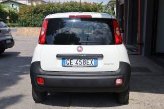 FIAT Panda usata 50