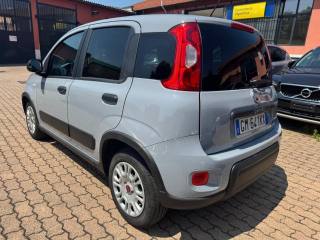 FIAT Panda usata, con Alzacristalli elettrici