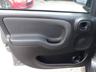 FIAT Panda Cross usata, con Cronologia tagliandi
