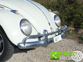 VOLKSWAGEN Maggiolino usata 14