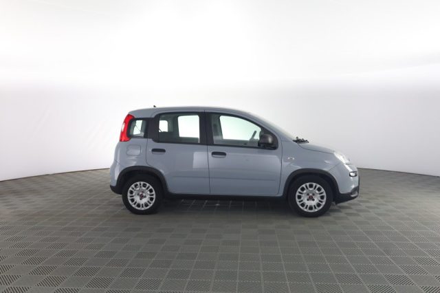 FIAT Panda usata 2