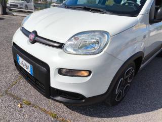 FIAT Panda usata 14