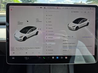 TESLA Model 3 usata, con Vetri oscurati
