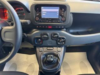 FIAT Panda usata, con Immobilizzatore elettronico