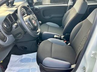 FIAT Panda usata, con Climatizzatore