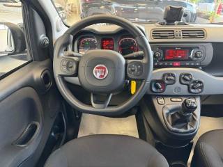 FIAT Panda usata, con Cronologia tagliandi