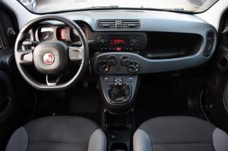 FIAT Panda usata, con Climatizzatore
