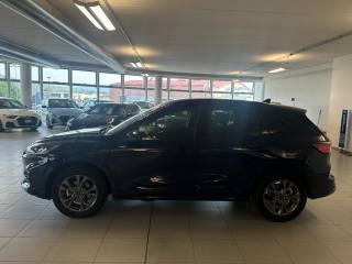 FORD Kuga usata, con Airbag Passeggero