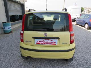 FIAT Panda usata, con Servosterzo