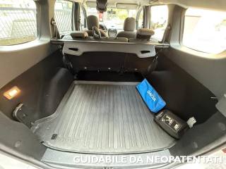 DACIA Lodgy usata, con Fendinebbia