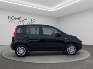 FIAT Panda usata, con Controllo trazione