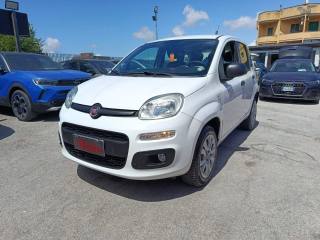 FIAT Panda usata, con Cronologia tagliandi