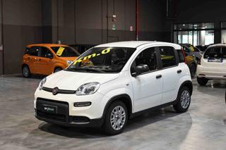FIAT Panda Hybrid 1.0 70cv