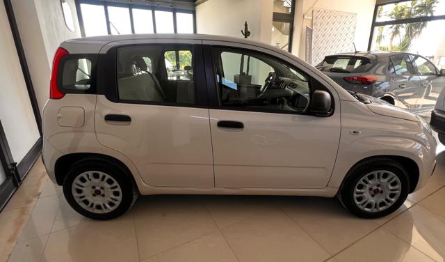 FIAT Panda usata, con Airbag Passeggero