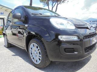FIAT Panda usata 16
