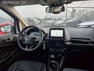 FORD EcoSport usata, con Fendinebbia