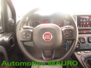 FIAT Panda Cross usata 18
