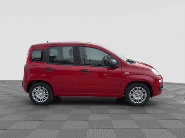 FIAT Panda usata 5