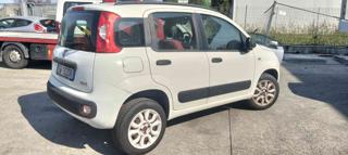 FIAT Panda usata, con Airbag Passeggero