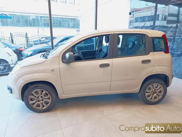 FIAT Panda usata, con Alzacristalli elettrici