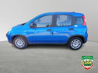 FIAT Panda usata, con Airbag Passeggero