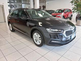 SKODA Octavia usata, con Cruise Control