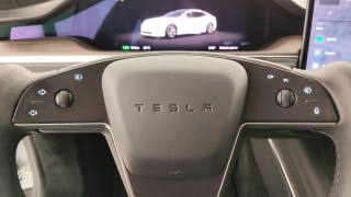 TESLA Model S usata 53
