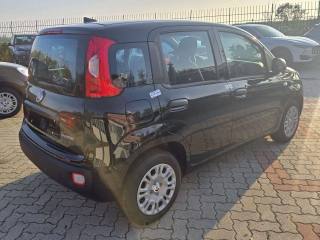 FIAT Panda usata, con Antifurto