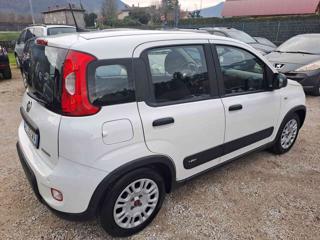FIAT Panda usata 23