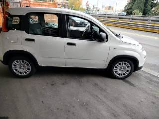 FIAT Panda usata, con Airbag