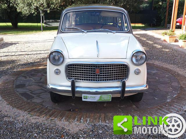 FIAT 1100 usata 1