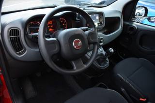 FIAT Panda usata, con Antifurto
