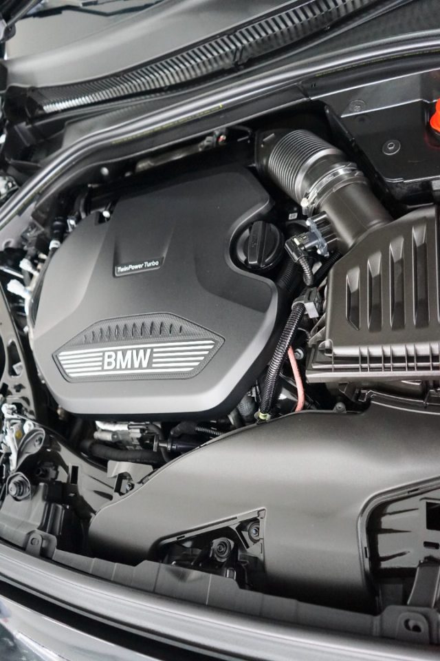 BMW 116 usata 55