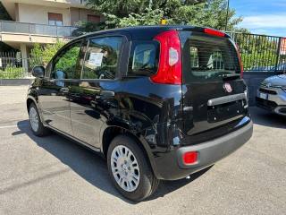 FIAT Panda usata, con Alzacristalli elettrici