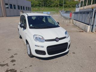 FIAT Pandina usata, con Airbag Passeggero