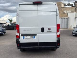 FIAT Ducato usata 15
