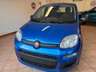 FIAT Pandina Pop