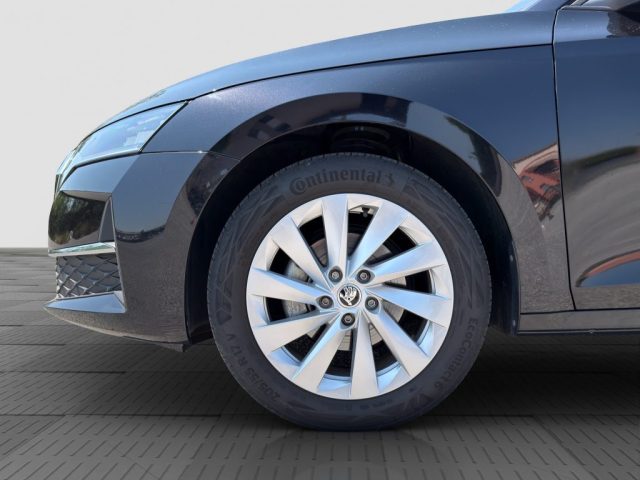 SKODA Octavia usata 15
