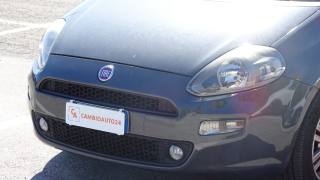 FIAT Punto usata 33