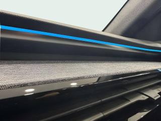 RENAULT Austral usata, con Airbag testa