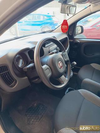 FIAT Panda usata 15
