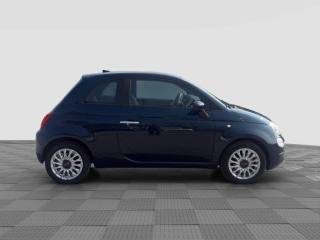 FIAT 500 usata 6