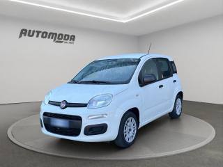 FIAT Panda 1.2 Easy 69cv