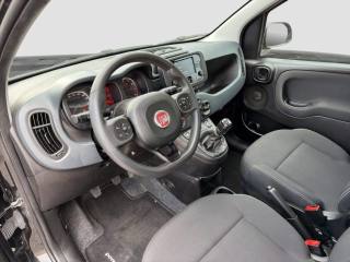 FIAT Panda usata 8