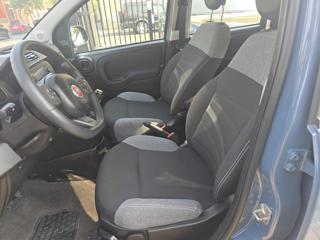 FIAT Panda usata, con Antifurto