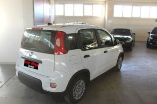 FIAT Panda usata, con Airbag Passeggero