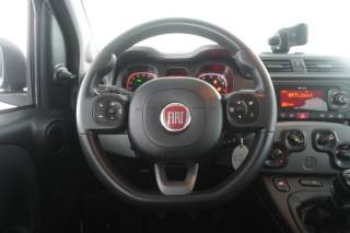 FIAT Panda usata 11