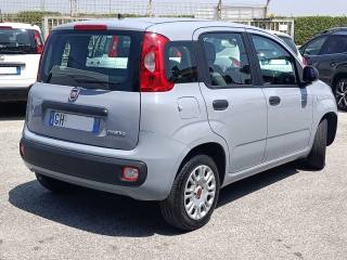 FIAT Panda usata, con Controllo trazione