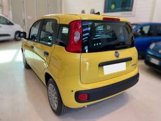FIAT Panda usata, con Antifurto